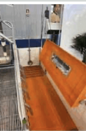 Model straight 50x100 Incl. Heating body 125/200Watt incl. suspension